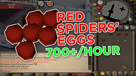 The <strong>eggs</strong> may be obtained by casting the Spirit <strong>Spider</strong> scroll (<strong>Egg</strong> Spawn) while having a Spirit <strong>spider</strong> summoned. . Osrs red spider eggs